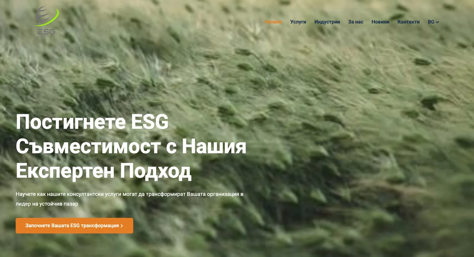 Strapi website developed for ESG Consult by Looming Tech